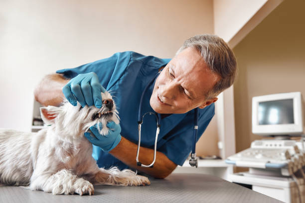 Professional Emergency Dental Service in OK